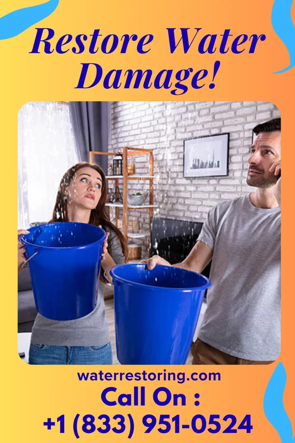 water restoration Sterling Damage Restoration Professionals Wildersville